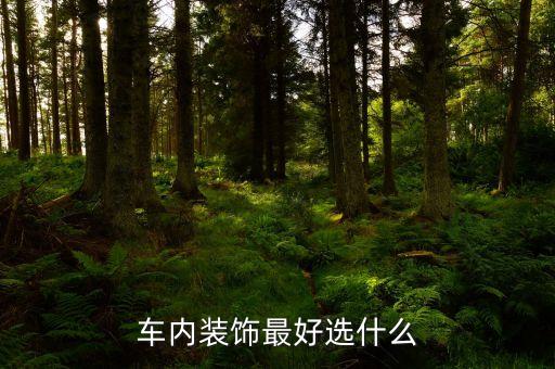 车内装饰最好选什么