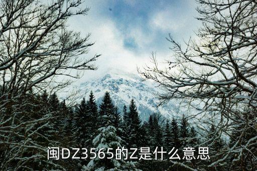 闽DZ3565的Z是什么意思