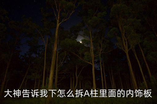 大神告诉我下怎么拆A柱里面的内饰板