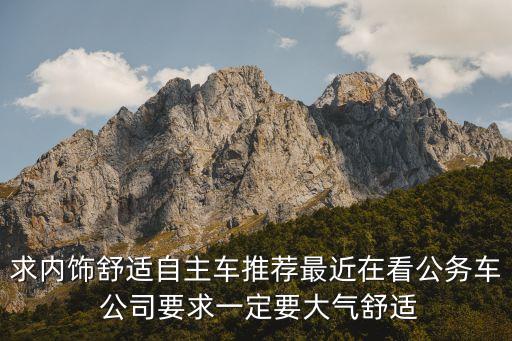 求内饰舒适自主车推荐最近在看公务车 公司要求一定要大气舒适