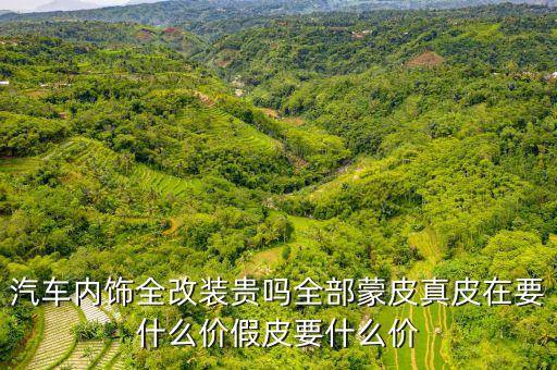 汽车内饰全改装贵吗全部蒙皮真皮在要什么价假皮要什么价