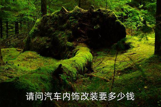 请问汽车内饰改装要多少钱