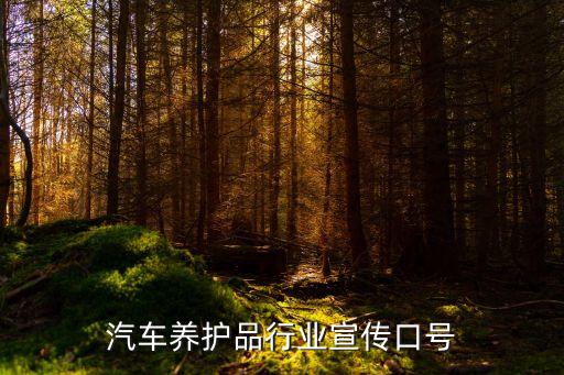 汽车养护品行业宣传口号