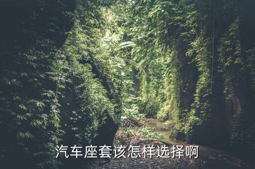 汽车座套该怎样选择啊