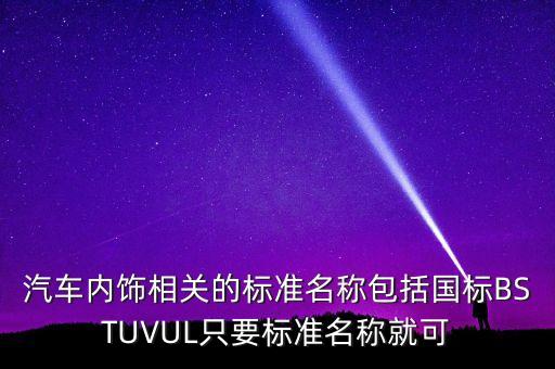 汽车内饰相关的标准名称包括国标BSTUVUL只要标准名称就可
