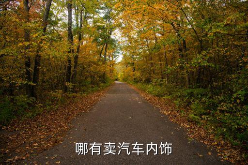 哪有卖汽车内饰