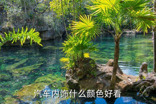 最潮汽车内饰颜色有哪些，汽车内饰什么颜色好看