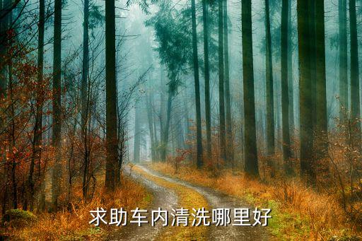 求助车内清洗哪里好