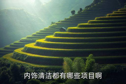 汽车内饰清洁一般包括哪些，汽车内部清洁项目有哪些