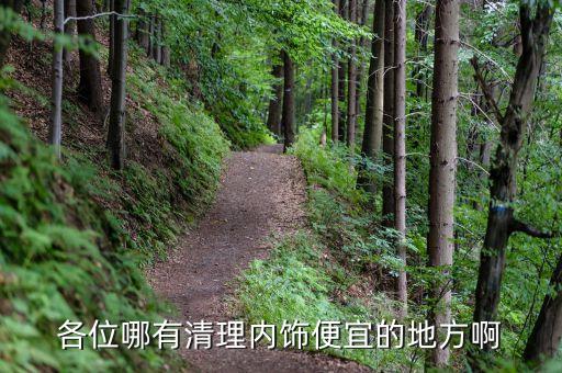 各位哪有清理内饰便宜的地方啊