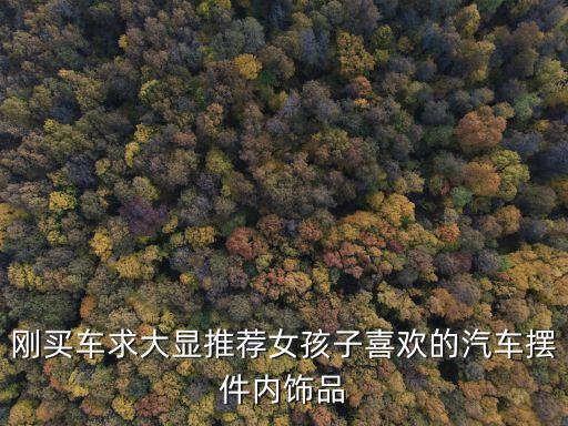 刚买车求大显推荐女孩子喜欢的汽车摆件内饰品