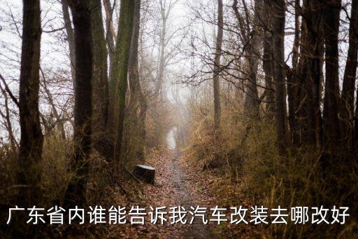 广东省内谁能告诉我汽车改装去哪改好