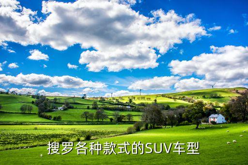 搜罗各种款式的SUV车型