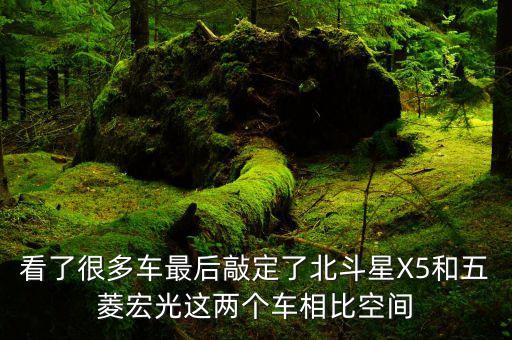 看了很多车最后敲定了北斗星X5和五菱宏光这两个车相比空间