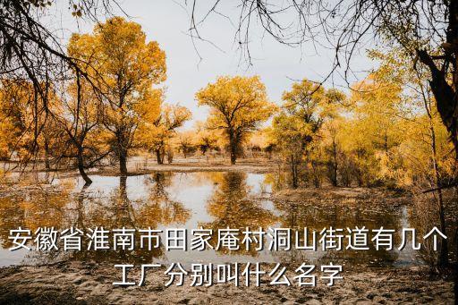 安徽省淮南市田家庵村洞山街道有几个工厂分别叫什么名字