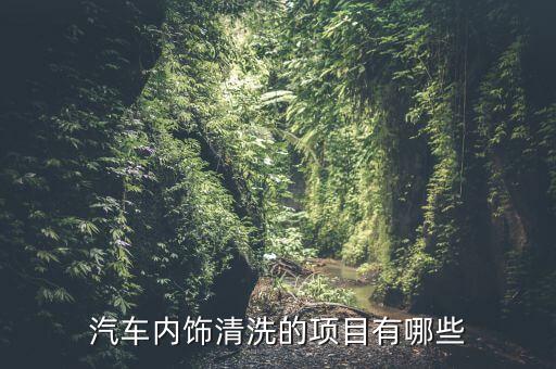 汽车内饰清洗的项目有哪些