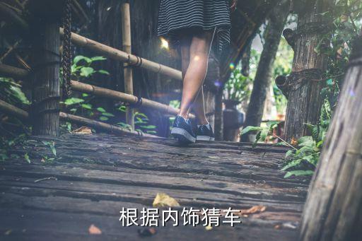 根据内饰猜车