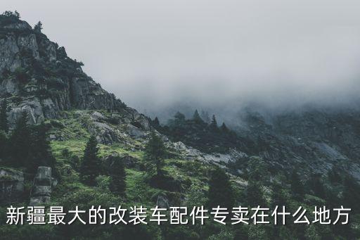 新疆汽车内饰配件厂有哪些，新疆最大的改装车配件专卖在什么地方