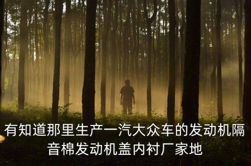 有知道那里生产一汽大众车的发动机隔音棉发动机盖内衬厂家地