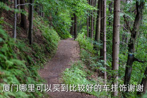 厦门哪里有卖汽车内饰，厦门哪里有卖私家车装饰品