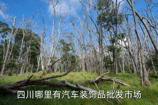四川哪里有汽车装饰品批发市场
