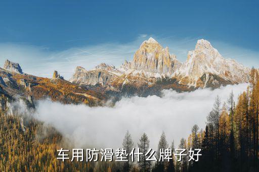 车用防滑垫什么牌子好