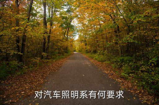 对汽车照明系有何要求