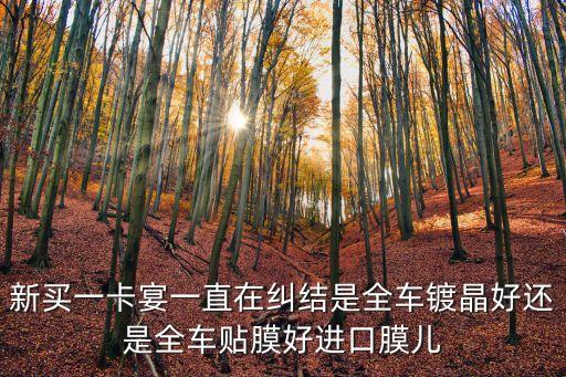 新买一卡宴一直在纠结是全车镀晶好还是全车贴膜好进口膜儿