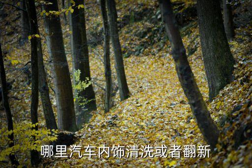 哪里汽车内饰清洗或者翻新