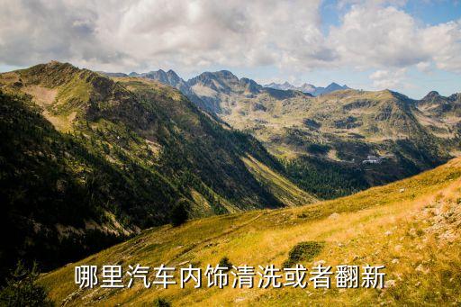 哪里汽车内饰清洗或者翻新