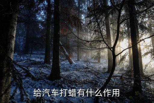 给汽车打蜡有什么作用