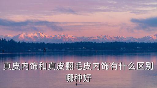 汽车内饰用什么皮好，汽车内饰软包用多厚皮子好