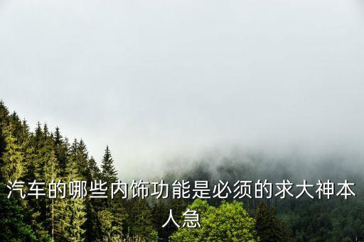 汽车的哪些内饰功能是必须的求大神本人急