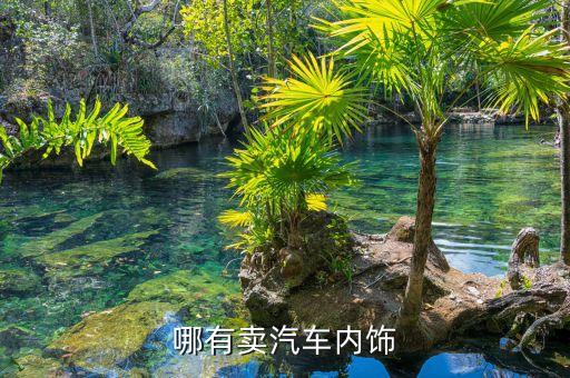 哪有卖汽车内饰