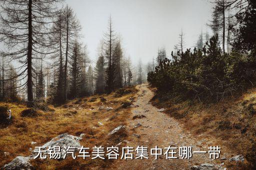 无锡哪里有汽车内饰清洗，无锡汽车美容店集中在哪一带