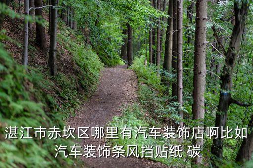 湛江市赤坎区哪里有汽车装饰店啊比如 汽车装饰条风挡贴纸 碳