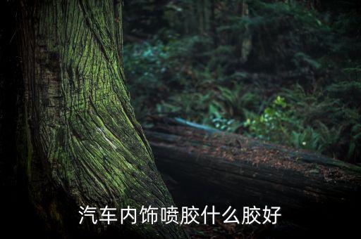 汽车内饰喷胶什么胶好
