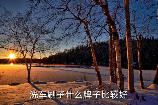 汽车内饰刷子哪个好，汽车内饰清洁哪个好用给推荐下