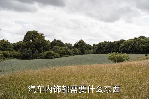 汽车内饰都需要什么东西