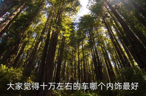 汽车内饰哪个最实用，新车有哪些小内饰很实用