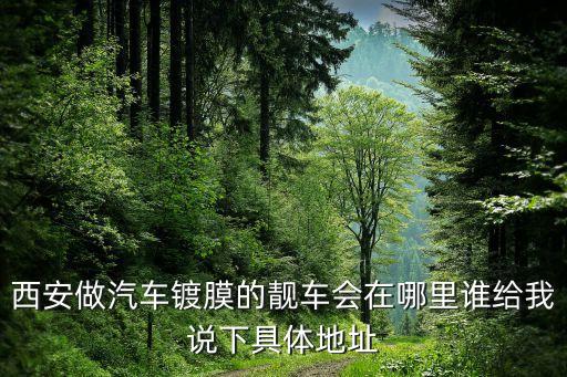 西安做汽车镀膜的靓车会在哪里谁给我说下具体地址