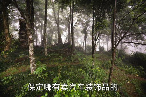 保定哪里有汽车内饰，保定哪有卖汽车装饰品的