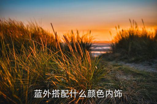 蓝外搭配什么颜色内饰