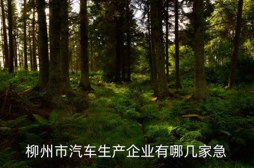 柳州汽车内饰工厂有哪些，柳州有哪些大工厂