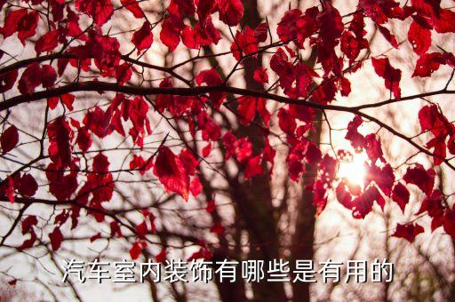 汽车内饰买什么最实用，汽车室内装饰有哪些是有用的