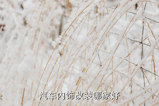 更换汽车内饰哪里好，汽车内饰改装哪家好
