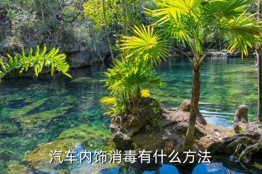 汽车内饰消毒有什么方法