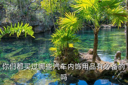 你们都买过哪些汽车内饰用品有必备的吗