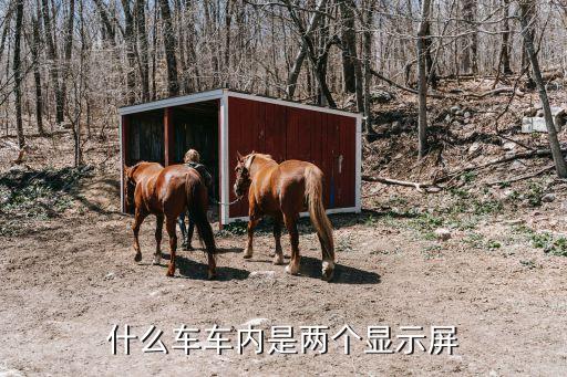 什么车车内是两个显示屏