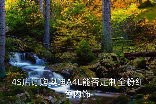 4S店订购奥迪A4L能否定制全粉红色内饰
